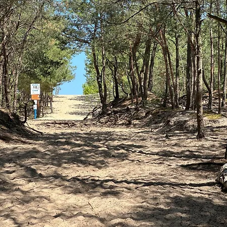 Len One Sobieszewo Baltic Line Blisko Morza Na Wyspie Sobieszewskiej Dla Rodzin Przyjazny Zwierzetom Z Tarasem *