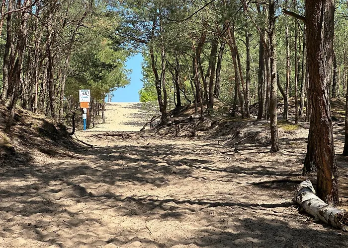 Len One Sobieszewo Baltic Line Blisko Morza Na Wyspie Sobieszewskiej Dla Rodzin Przyjazny Zwierzetom Z Tarasem *