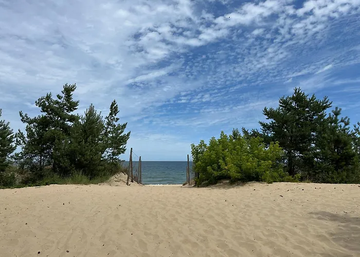 Len One Sobieszewo Baltic Line Blisko Morza Na Wyspie Sobieszewskiej Dla Rodzin Przyjazny Zwierzetom Z Tarasem Gdańsk